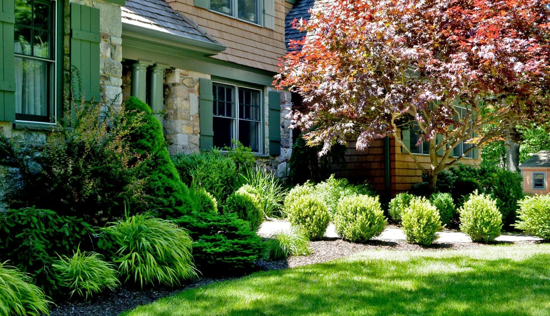 Planting in Willow Spring