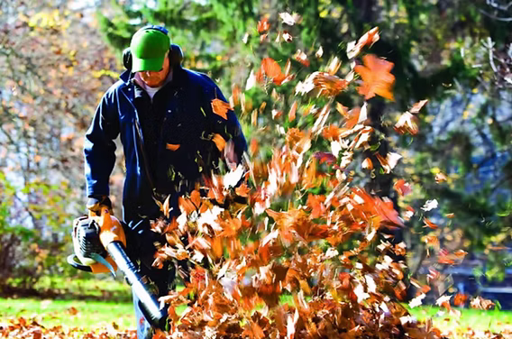 Leaf Removal in Fayetteville