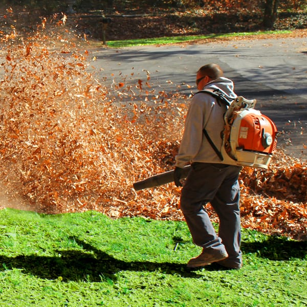 Leaf Removal in Fayetteville
