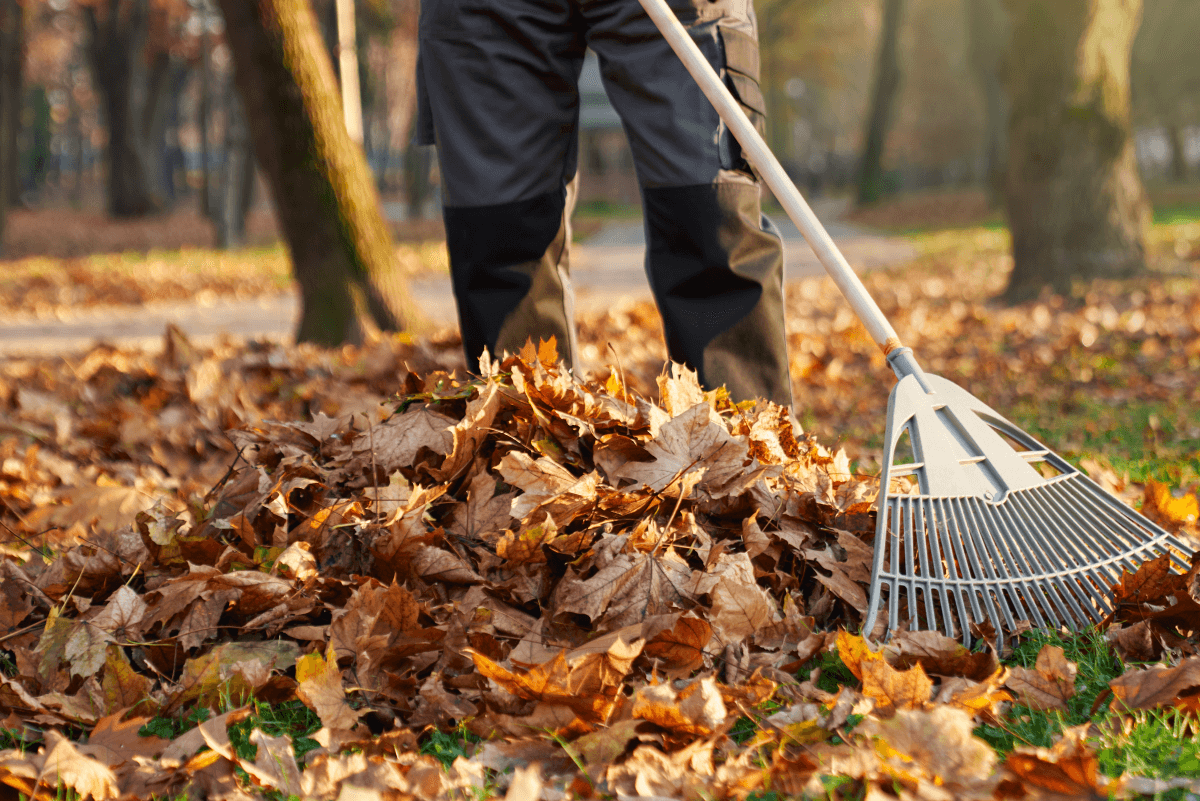 Landscaping services in Dunn