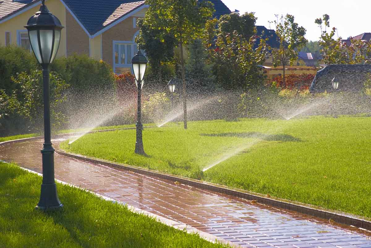 View leaf removal project in Willow Spring